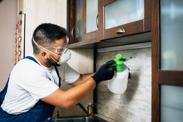 Best Mosquito Control Services  in Hiller, PA