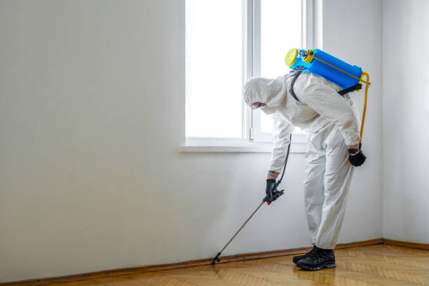 Best Best Pest Control Companies  in Hiller, PA