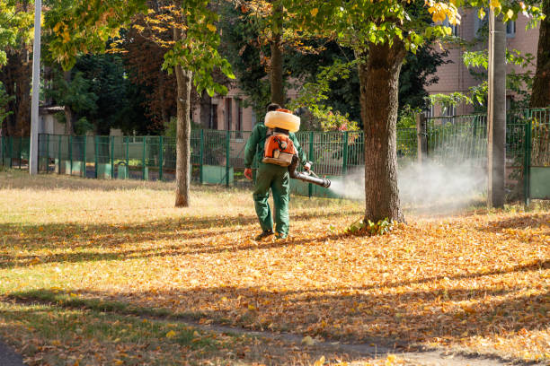 Best Insect Control  in Hiller, PA